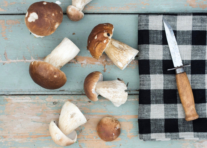 Fall is in the air and in the kitchen