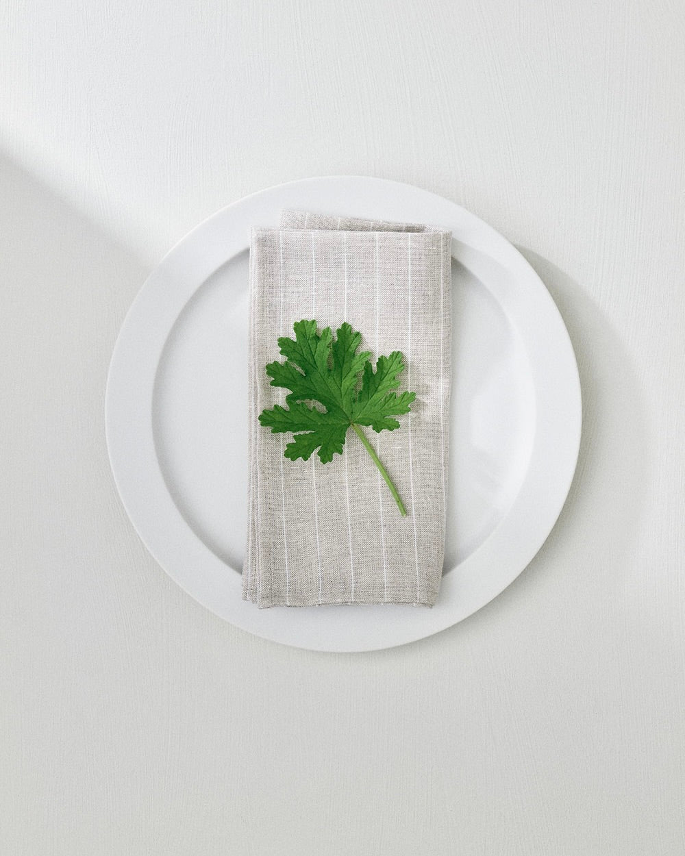 Napkin: Riley