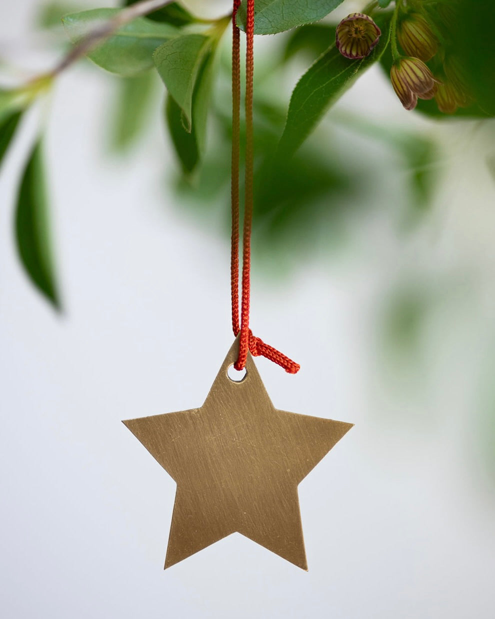 Brass Star Ornament