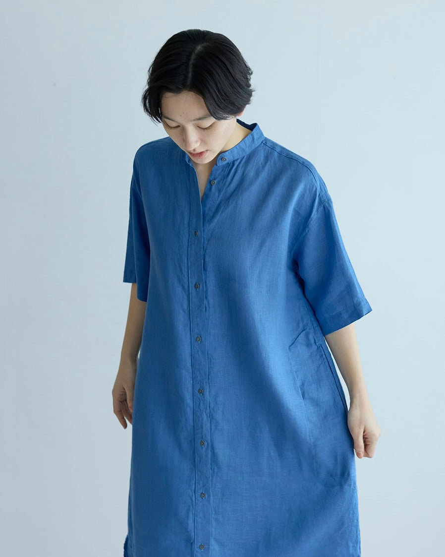 Silvia Dress: Nigelle