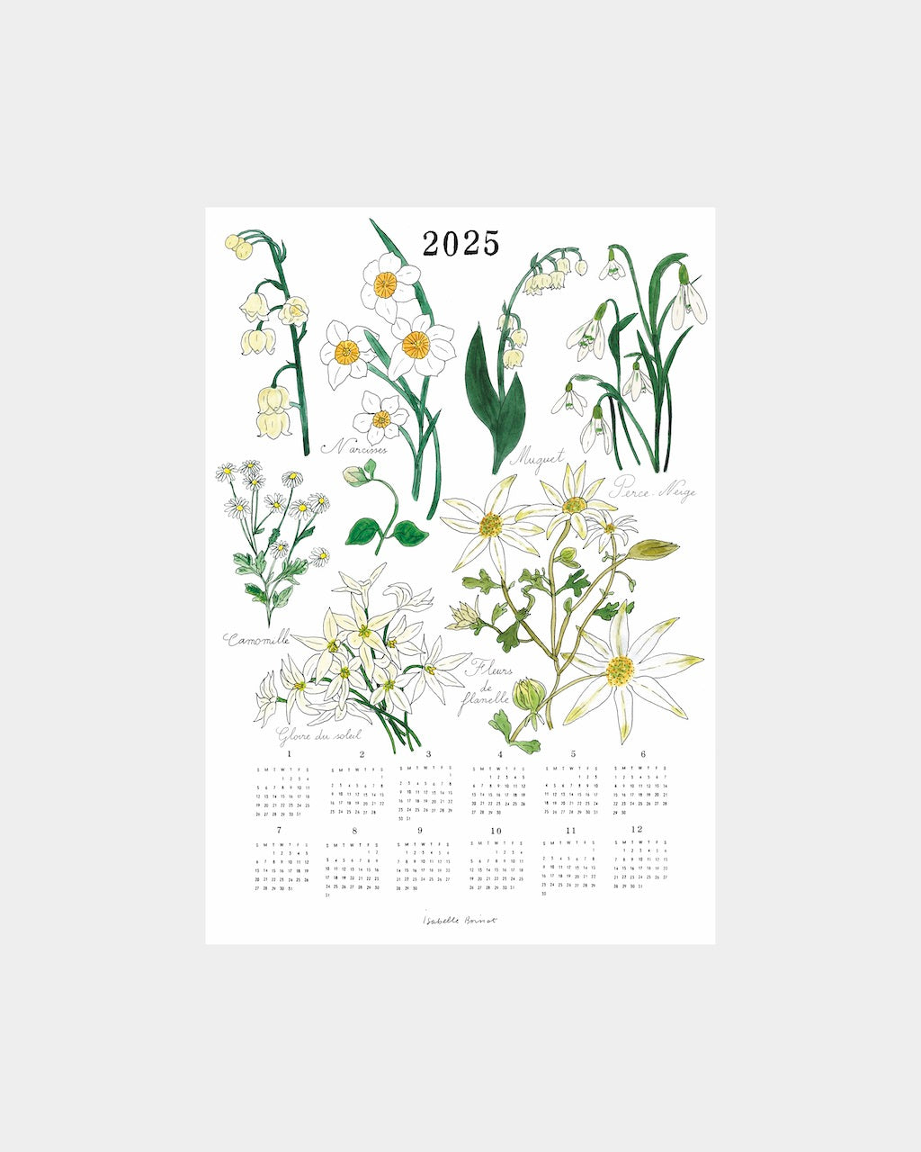 2025 Calendar Cloth: White Flowers