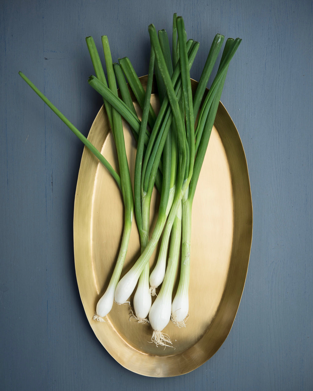 Brass Oval Tray: Medium